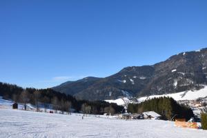 Fotografie z fotogalerie ubytování Alpengasthof Eichtbauer v destinaci Spital am Semmering + 13 fotografií