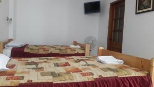 two beds in a room with a quilt on them at Hostal Camiluz in Nazca