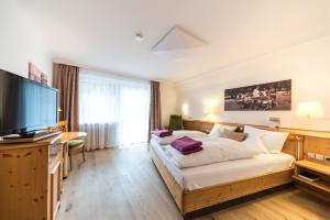 TV a/nebo společenská místnost v ubytování Naturparkhotel Adler