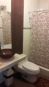 a bathroom with a sink and a toilet and a shower at Hostal Camiluz in Nazca