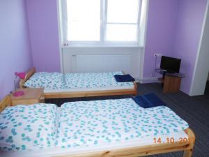 A bed or beds in a room at Ubytováni v soukromí Na Podluží