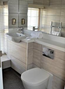 ein Badezimmer mit einem Waschbecken, einem WC und einem Spiegel in der Unterkunft New Park Hotel in Carmarthen