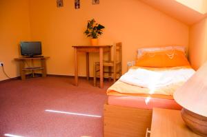 Schlafzimmer mit einem Bett, einem Schreibtisch und einem TV in der Unterkunft Penzion Vinárna U Hroznu in Veselí nad Moravou