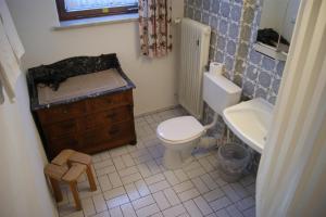 a small bathroom with a toilet and a sink at Gästehaus Charlotte in Bayrischzell