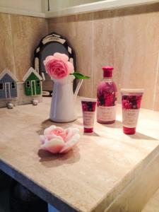 マッサ・ルブレンセにあるLa Casa del Pepe rosaの花瓶カウンター