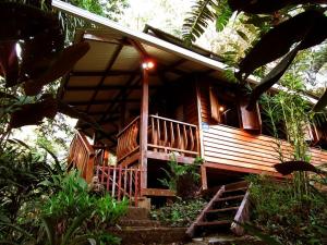 a large wooden house with stairs leading to it at Las Ranitas in Puerto Viejo