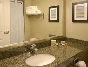 a bathroom with a sink and a large mirror at Holiday Inn Scottsdale North- Airpark, an IHG Hotel in Scottsdale