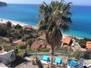 an aerial view of a resort with a palm tree and the ocean at Lisca Bianca Tropea in Tropea