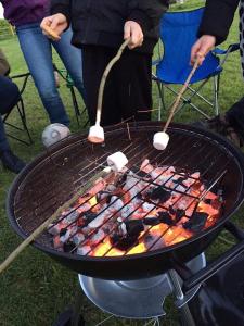 Gallery image of Mousley House Farm Campsite and Glamping in Warwick