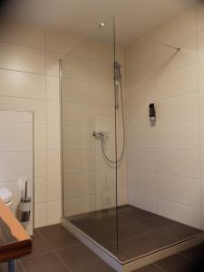 a shower with a glass door in a bathroom at Gross Bultener Hof in Peine