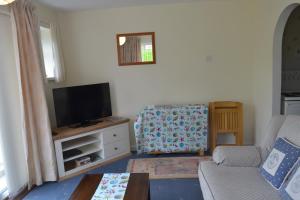 een woonkamer met een tv en een bank bij Appletree Bungalow in Torquay