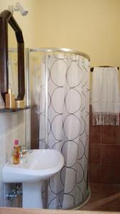 La salle de bains est pourvue d'un lavabo et d'une douche. dans l'établissement Podere Il Leccione, à Palaia