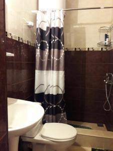 a bathroom with a toilet and a shower curtain at Marina Apartments in Gudauri +7 photos