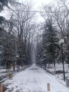 Foto sihtkohas Bordžomi asuva majutusasutuse Elmira galeriist
