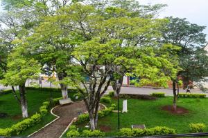 um parque com árvores e um banco na relva em Pousada do Getulio em Tiradentes