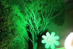 Afbeelding uit fotogalerij van La Villa Hotel in Cordeirópolis