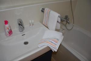 Vannituba majutusasutuses Apartmán Zderadova