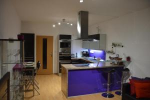 Kuchyň nebo kuchyňský kout v ubytování Apartmán Zderadova