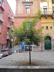 ナポリにあるLa Casaforte art residencyの市道中小木