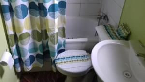une salle de bain avec toilettes et rideau de douche dans l'établissement Hospedaje María Elena, à Coyhaique