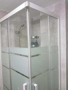 a shower stall with a glass door in a bathroom at Bonito Apto Barrio del Pilar Smart Fit in Madrid