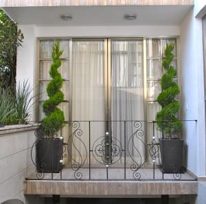 メキシコシティにあるBusiness Suites SGの鉢植えの植物2本と窓のあるバルコニー