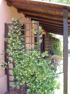 A garden outside Agriturismo Pian dei Pini
