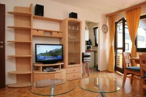 Μια τηλεόραση ή/και κέντρο ψυχαγωγίας στο Appartement René +8 φωτογραφίες