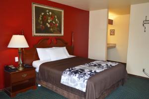 a hotel room with a bed and a painting on the wall at Western Motel in Junction City