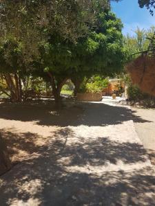 Mynd úr myndasafni af Trackers Inn í Graaff-Reinet