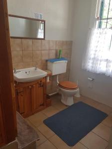 a bathroom with a toilet and a sink at Trackers Inn in Graaff-Reinet