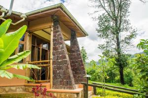 Zahrada ubytování Ichumbi Gorilla Lodge