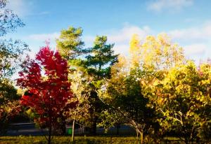 HoughtonにあるHoughton Stone Villaの紅葉・黄葉の集合