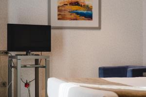 TV a/nebo společenská místnost v ubytování Hotel Mas Camarena