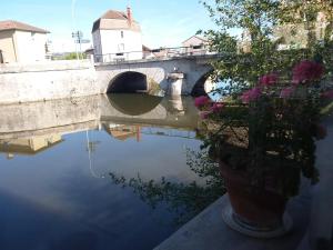 
a river with plants and a fountain in front of it at Hostellerie d'Héloïse in Cluny
