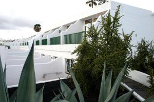 Biały budynek z roślinami przed nim w obiekcie Apartamentos Guanarama w Puerto del Carmen