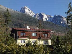 a house in the mountains with mountains in the background at Vila Limba in Vysoke Tatry - Novy Smokovec