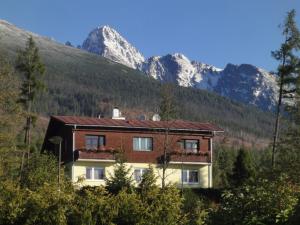 a house in the mountains with mountains in the background at Vila Limba in Smokovce