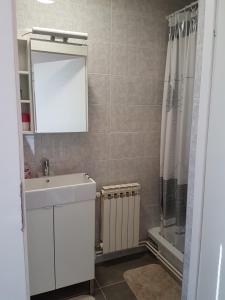 a bathroom with a sink and a mirror and a shower at Apartments Martina in Osijek