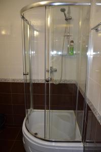 a shower with a glass door next to a toilet at Ветеринарный in Berdychiv