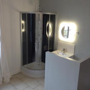 a bathroom with a shower and a sink at Chambres d'Hôtes Les Bords du Cher in Saint-Aignan