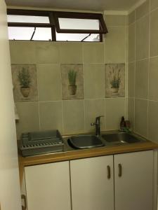 a kitchen with a sink and plants on the wall at Geranium Studio in Somerset West +14 photos