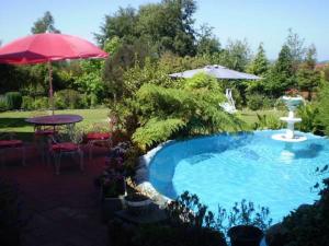 a swimming pool with a fountain and an umbrella at Hostal Möller in Villarrica