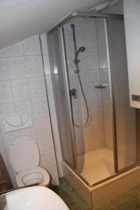 een badkamer met een douche en een toilet bij Laberer by Schladmingurlaub in Schladming
