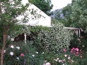 a garden with pink flowers and a building at High Hopes in Greyton