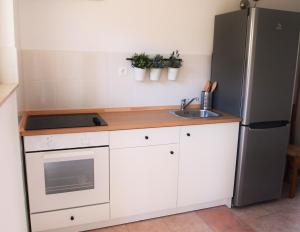 a kitchen with a sink and a refrigerator at Studio Apartment Branko in Novalja