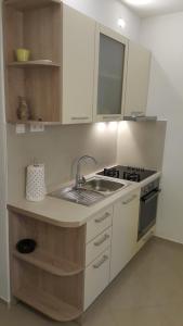 Il comprend une cuisine équipée d'un évier et d'une cuisinière. dans l'établissement Apartments AnaIvana, à Trogir