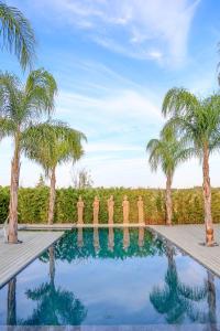 a swimming pool with palm trees in the background at Herdade da Rocha - Boutique Lodge in Crato