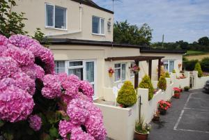 a house with pink flowers in front of it at Ashbury Tor in Torquay
