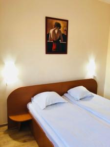 een bed met twee kussens en een foto aan de muur bij Motel Topolog in Râmnicu Vâlcea